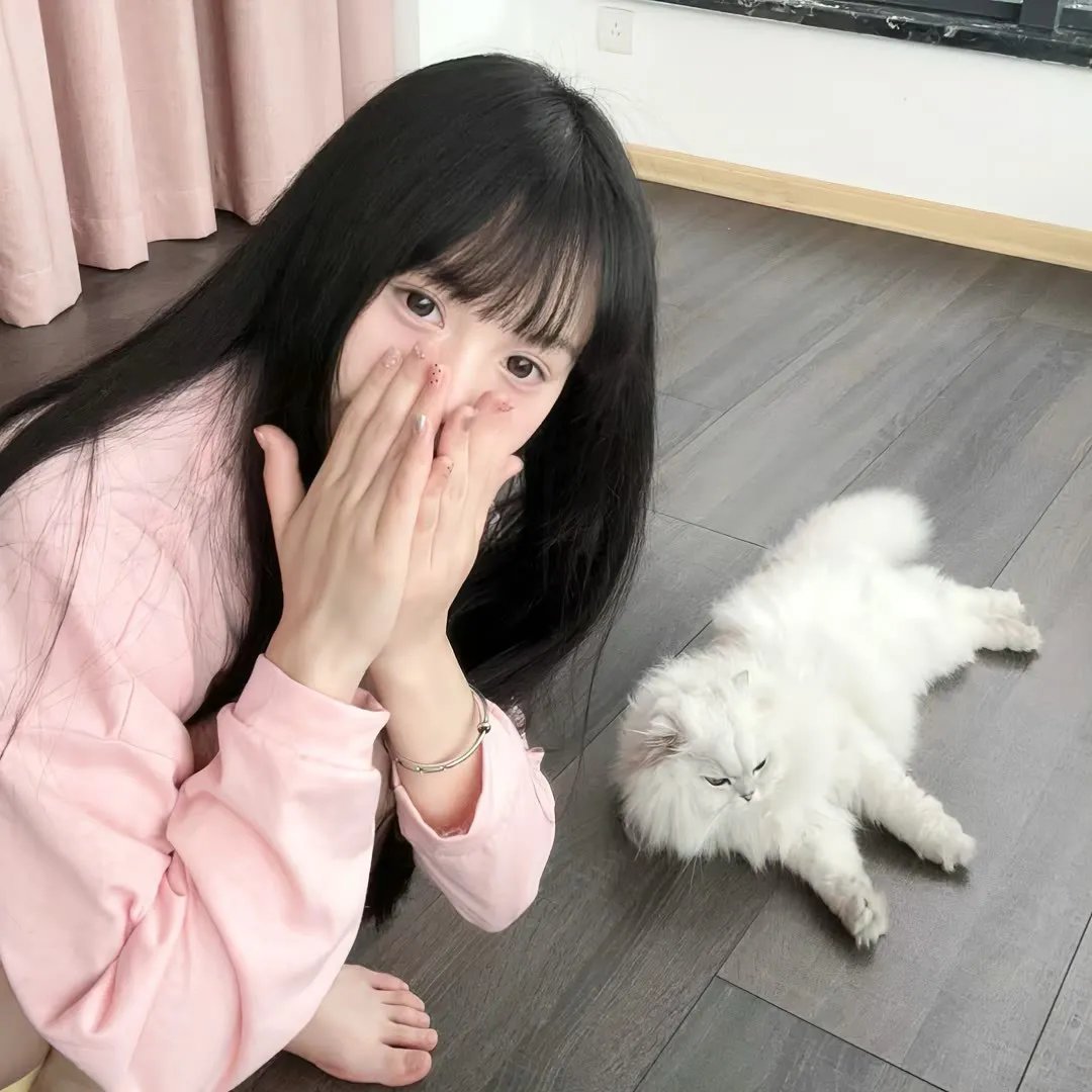 抱着黄金飞翔